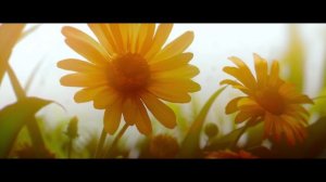 Легенда об Аанге: Последний маг воздуха｜ трейлер ｜