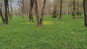 Утренний Белгород 23.04.26.