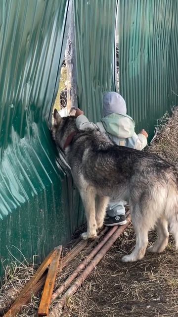 Да что там, покажи