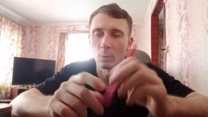 Телефон не дает признаков жизни что могло пойти не так?