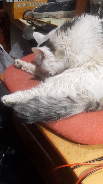 Вася занят любимым делом