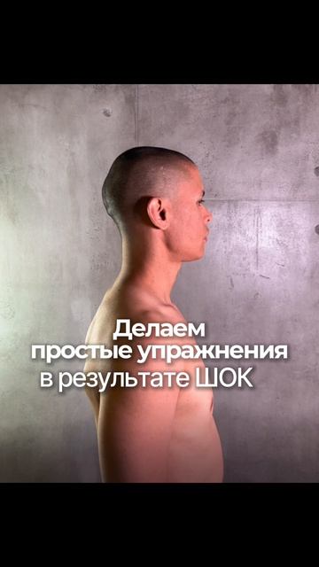 https:t.mefitstyler_bot?startvksheya