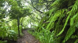 Песня для души  - Тишина внутри