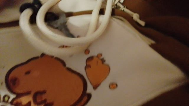 для школы мне не разрешают взять животных в школу поэтому я без разрешения беру 🤣🤣