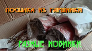 Посылка из Гаршинки №2. Обзор растений.