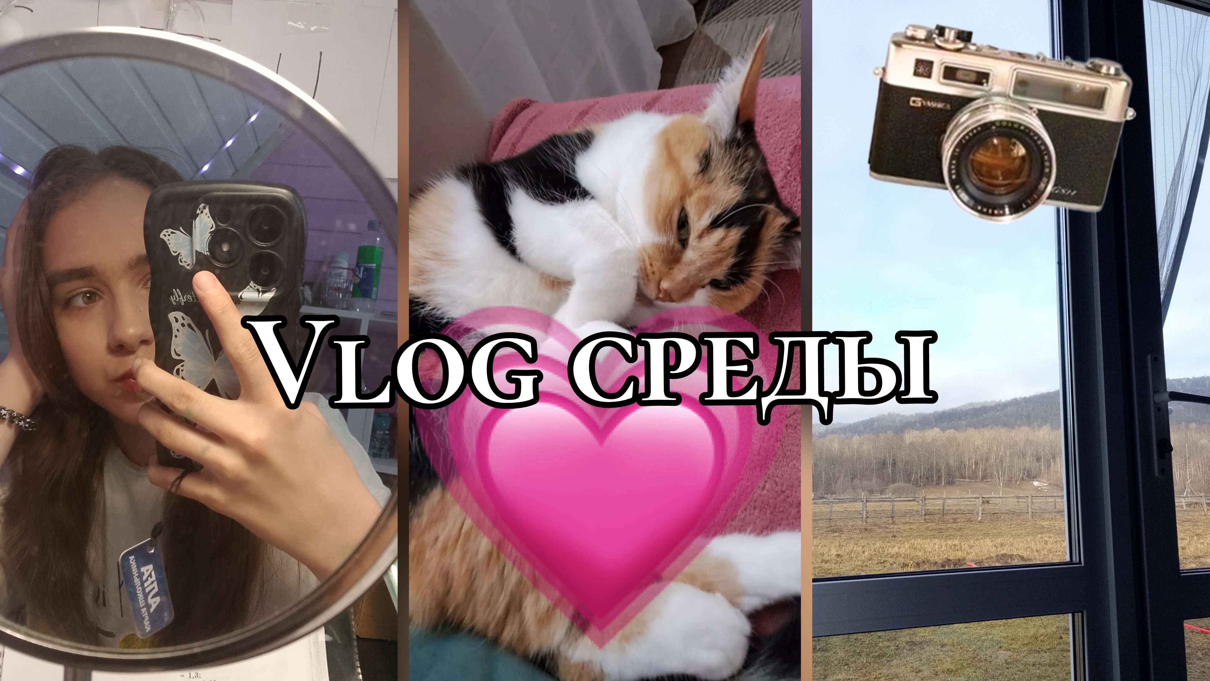 Vlog средыWednesdayсдаю ВПР