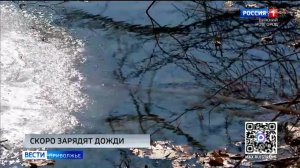 На смену снегопадам придут дожди