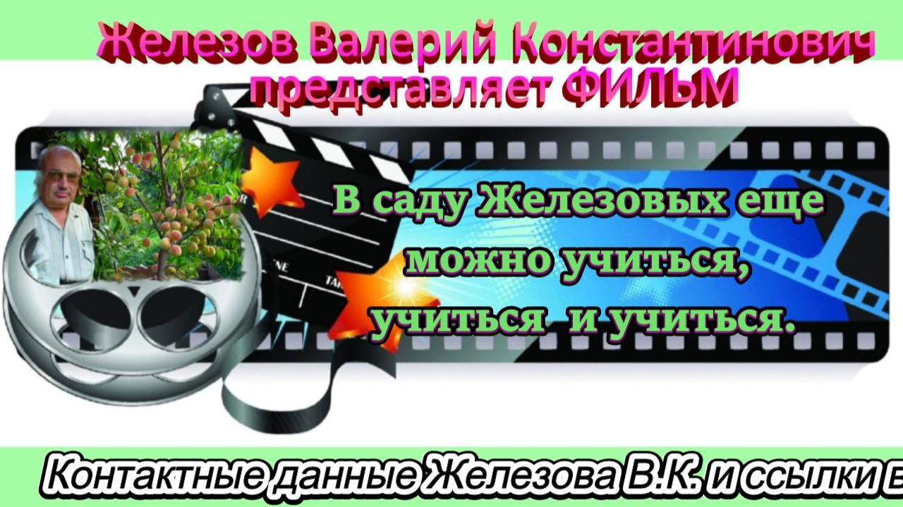 В саду Железовых еще можно учиться, учиться  и учиться.