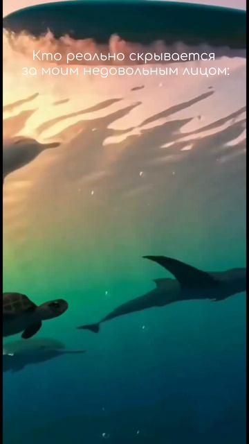 #37 Если говорим, что не имеем греха, — обманываем самих себя, и истины нет в нас. (1 Иоанна 1:8)