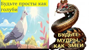 Выпуск №78, Мудрость змеи и простота голубя