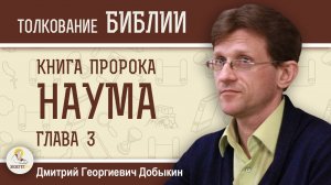 КНИГА ПРОРОКА НАУМА. Глава 3 "Горе кровавому городу, полному лжи".  Дмитрий Георгиевич Добыкин