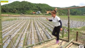 София 57. София строит наблюдательный домик для сторожа на краю приобретенных владений.