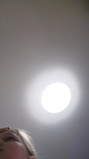 Какой твой любимый перс?