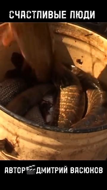Счастливые Люди 🎯🎣