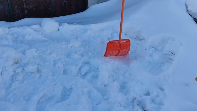 2026.03.03 - Откапываем задние ворота