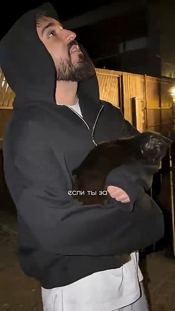 Мы где-то схожи где-то напрочь с тобой не похожи ..