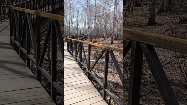 Рубрика  По гулять и поболтать