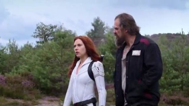 Черная вдова (отрывок)