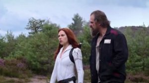 Черная вдова (отрывок)