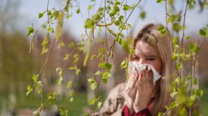 Воронеж, Самара, Челябинск, Омск и Москва: аллергикам приготовиться