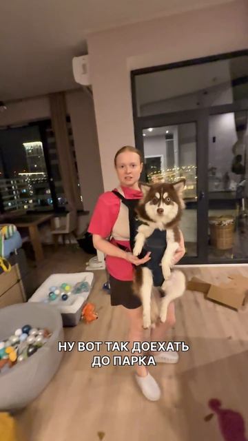 Оцените от 0 до 100🫠