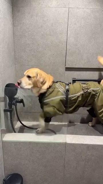 VID_20260423_204549_432.mp4