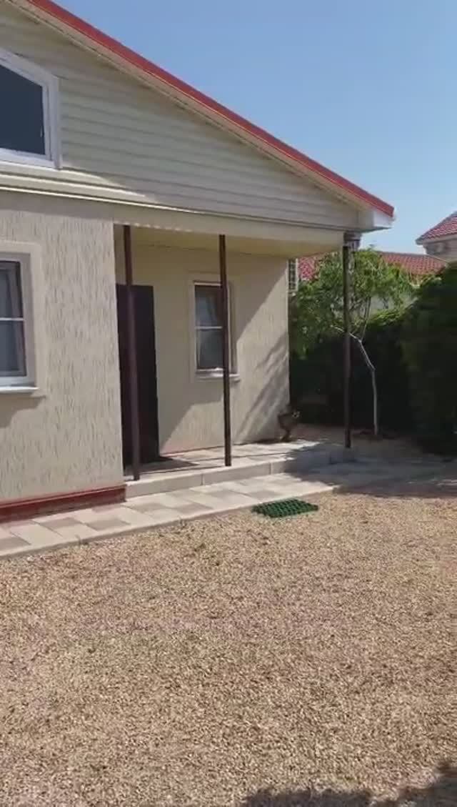 Должанская Дом Дионис 1