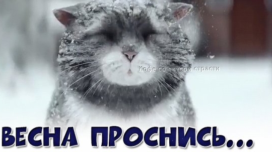 22 апреля #ни_к_селу_ни_к_городу