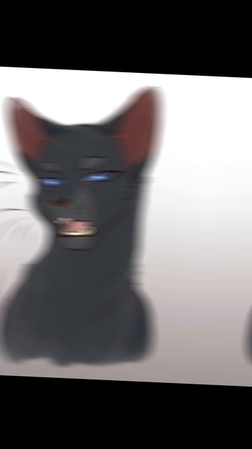 Коты-воители/Грач