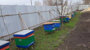 23,04,26. отчёт о проделанной работе на пасеке. жду критики что не так или так ☝🏻☝🏻☝🏻
