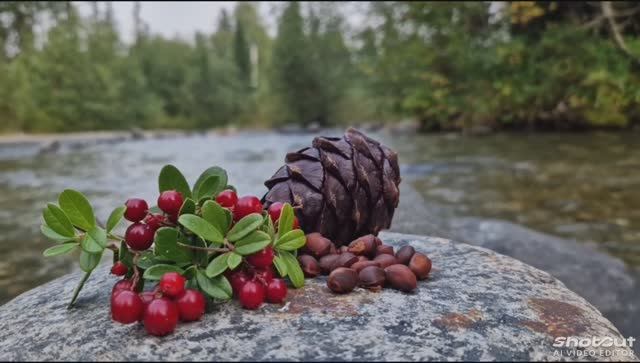За орешками.