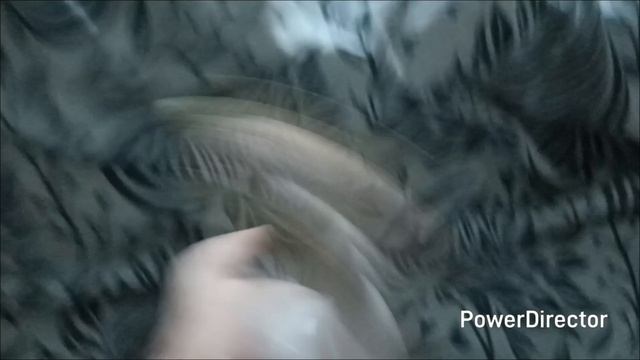 серия 31 банка