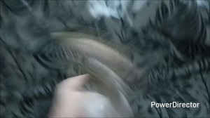 серия 31 банка