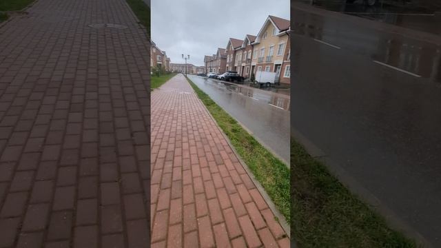 Я гуляю с котом часть 1