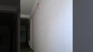 переходи в Макс канал