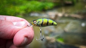 СТАВЛЮ ЭТОТ ВОБЛЕР и СРАЗУ КЛЮЕТ! / ОТКРЫТИЕ по ГОЛАВЛЮ