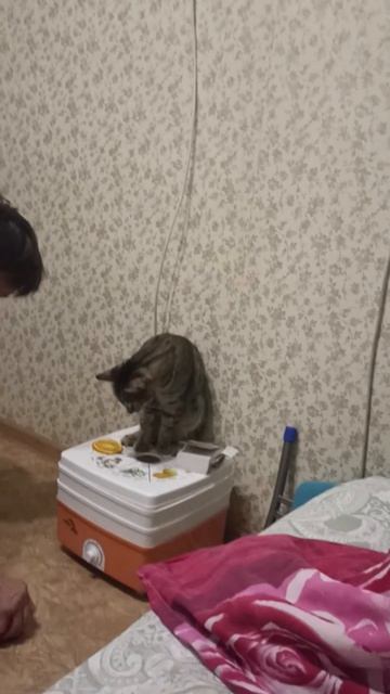 37d151b8-3cc2-4317-811b-88b205b03057-1_all_7591.mp4