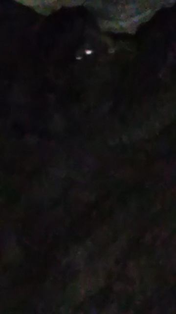 В самом дальнем углу пещеры в горе Алчак-Кая горят два глаза с очертанием волка