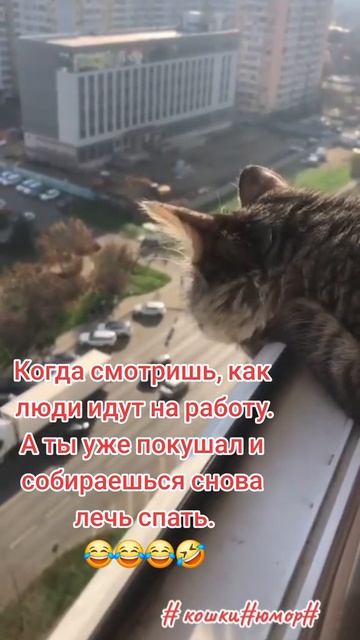 oUEIWu0A9c9wggRnBAIC20imyBQAywfwiqCZp8