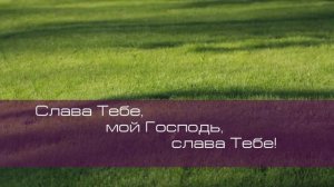 Дом на Сионе. Сборник 47.mp4