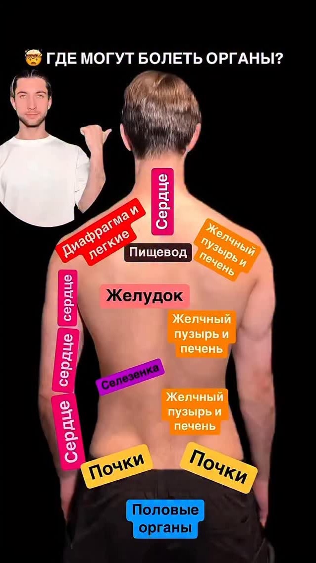 ГДЕ МОГУТ БОЛЕТЬ ОРГАНЫ?