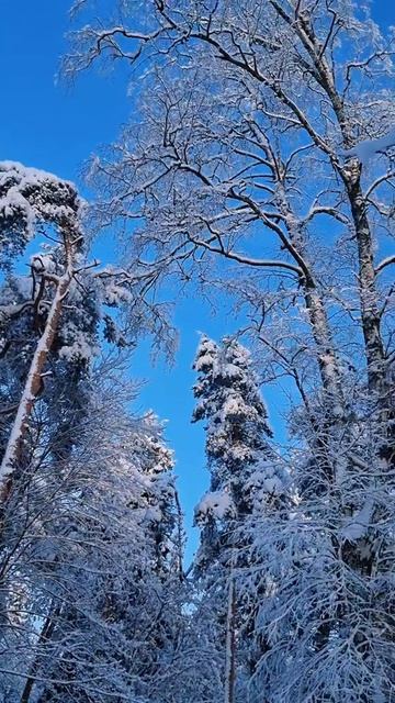 #katyboro #видеооткрытка      #рекомендации #врек #топ #врекомендации