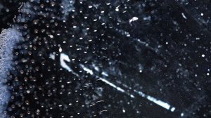 Lyrid Rain Cinematic Space Music Through The Ancient Meteor Shower