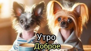 С добрым утром Музыкальная открытка