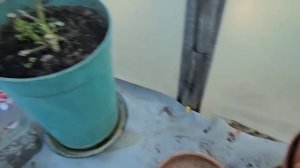 14-16 апреля 2026. Сезонные работы в саду не заканчиваются