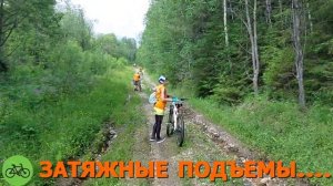 #БАСКОПАТИ #ВЕЛОПРОГУЛКА2022 #СПЛАВ2022 #РЕКАЧУСОВАЯ #ВЕЛОПРОГУЛКА2022_ЧАСТЬ1