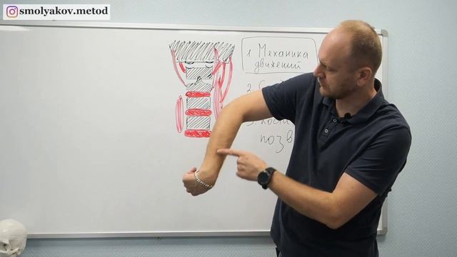 Метод Смолякова — полное объяснение технологии коррекции первого шейного позвонка