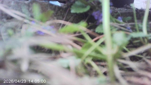 Ремонт поливной системы: (Шаг 2.2): установка на трубу соединительной муфты с другой стороны