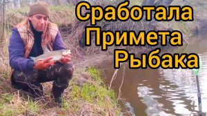 Попытка открыть сезон 2026 рыбалка на лесной реке.