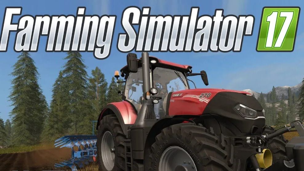 СОСНОВКА ... ВОЗВРАЩЕНИЯ СПУСТЯ 1 ГОД ...